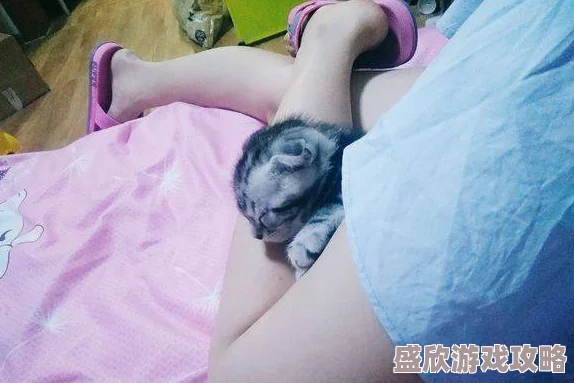 女仆裸乳给主人吃奶网站，这种内容真是让人感到不适，应该加强监管