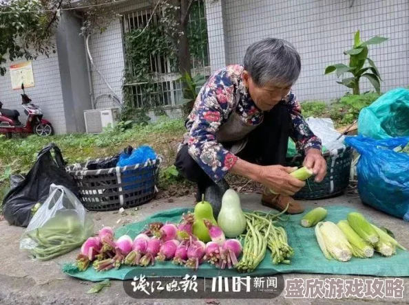 老妇卖菜被骗千元钱款后报警成功追回骗子已被抓获