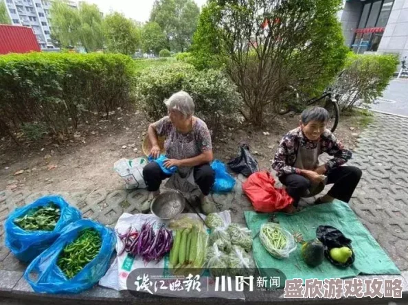 老妇卖菜被骗千元钱款后报警成功追回骗子已被抓获