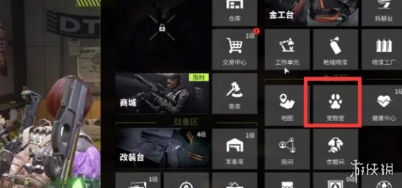 萤火突击游戏更新：最新宠物扩容箱使用方法全解析及功能介绍