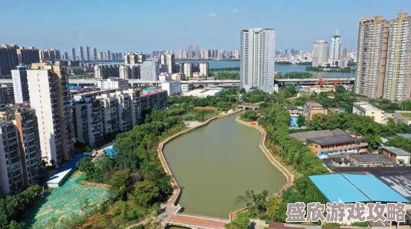 最新消息：突破行动全面启动，实现从基础到进阶的跨越式发展