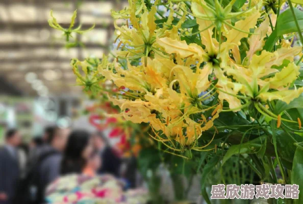 法国满天星家庭保姆提供专业育儿和家政服务的法国品牌