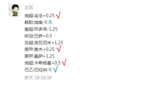 胸前两个球球不过没有马赛这句谚语描述的是一种独特的文化现象或特征