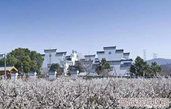 精产国品一二三产品区别91一级品为最高质量，二级次之，三级为最低标准